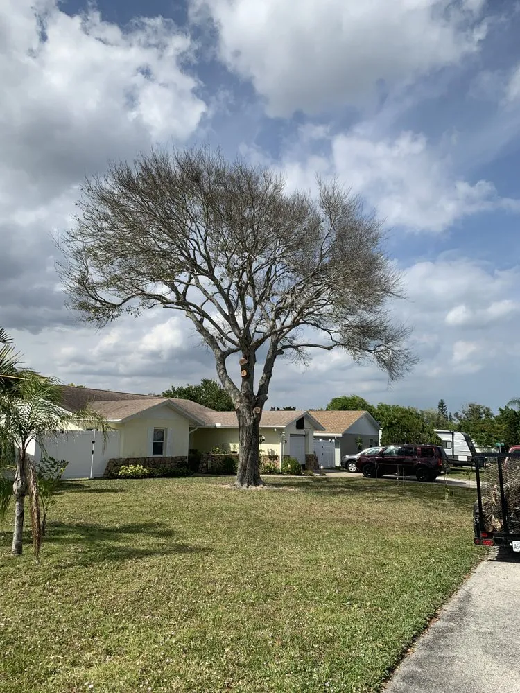 Top-rated outdoor landscaping for outdoor upgrades across Stuart, FL - DeLongs Arbor Care