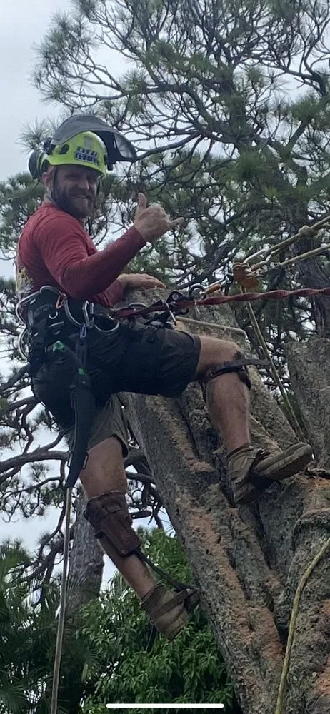 Professional outdoor landscaping experts serving Stuart, FL - DeLongs Arbor Care