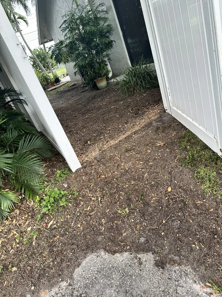 Trusted lawn care service for homes across Stuart, FL - DeLongs Arbor Care