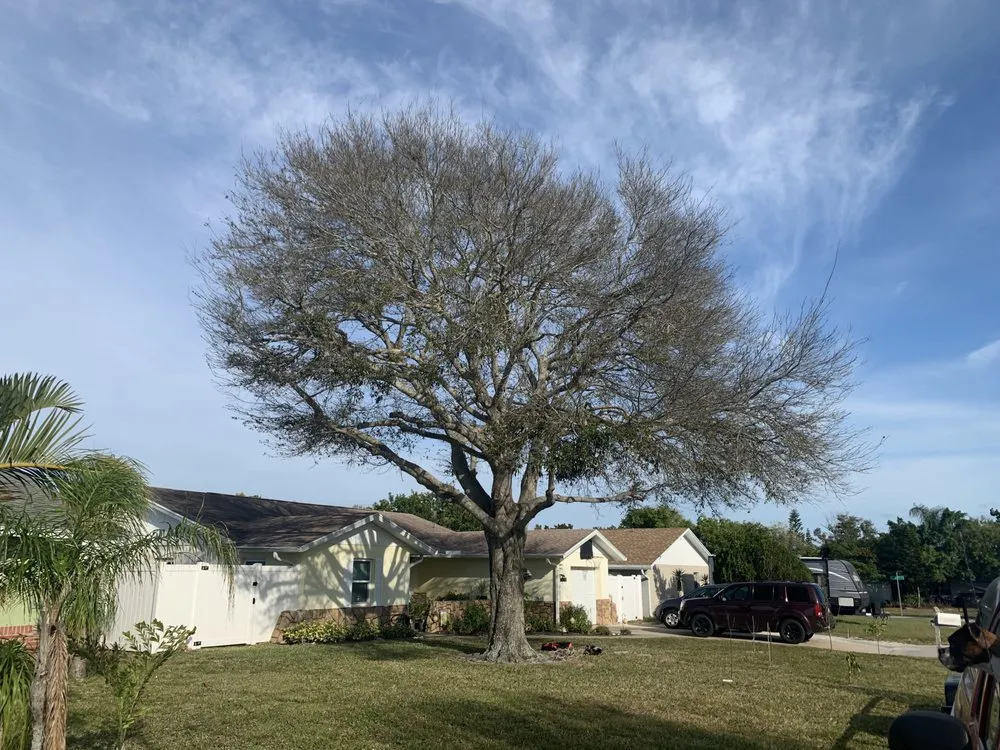 Professional residential landscaping in Stuart, FL by DeLongs Arbor Care