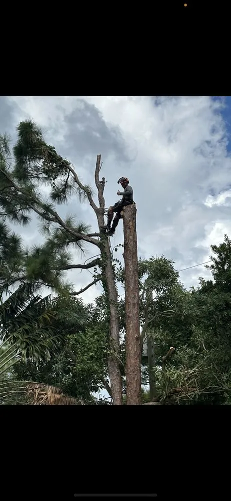 Affordable yard cleanup service with custom design in Stuart, FL by DeLongs Arbor Care