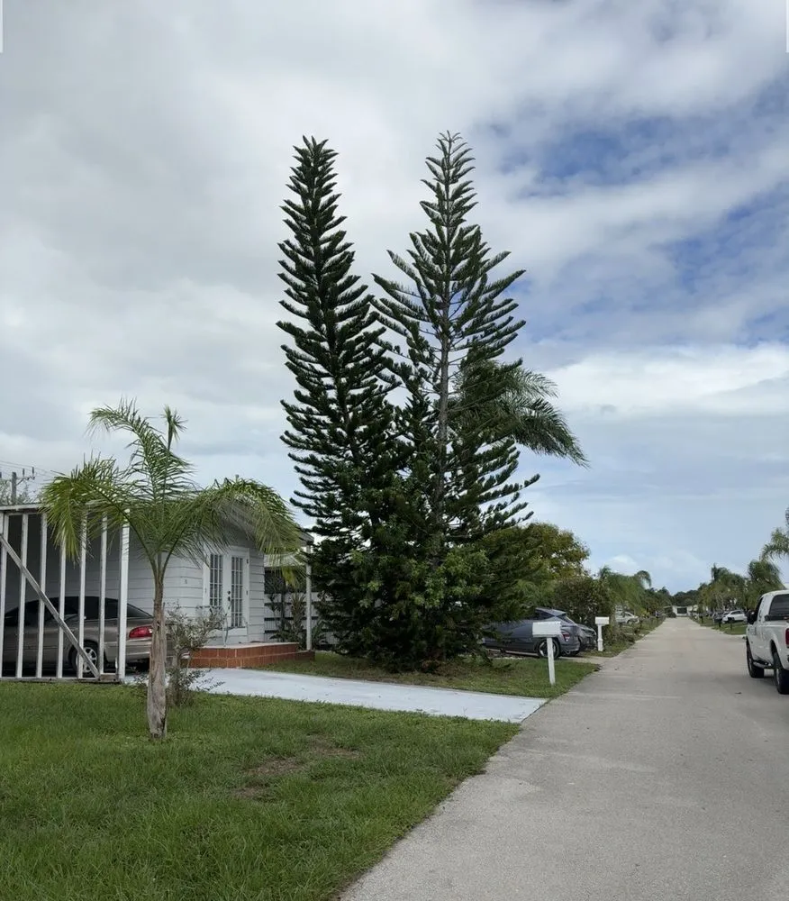 Professional lawn mowing service for year-round maintenance in Stuart, FL by DeLongs Arbor Care