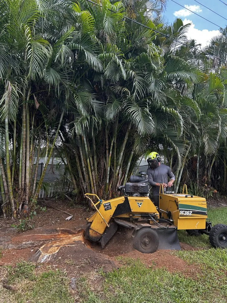 Reliable lawn mowing service experts serving Stuart, FL - DeLongs Arbor Care