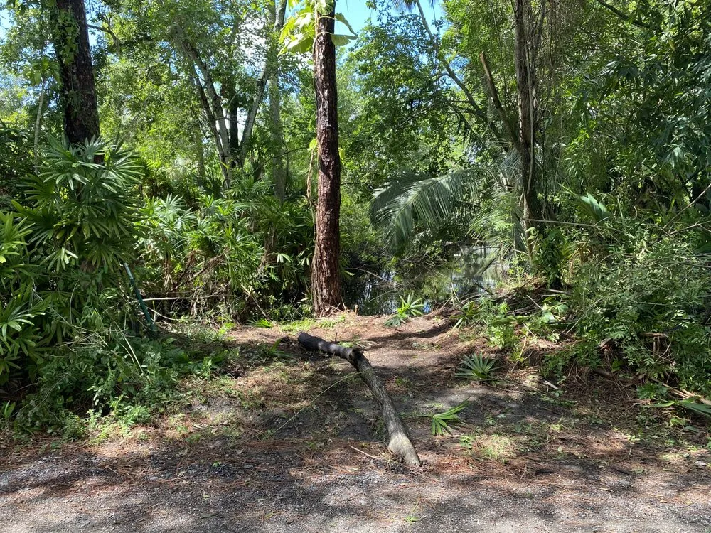 Top-rated landscaping services in Stuart, FL by DeLongs Arbor Care