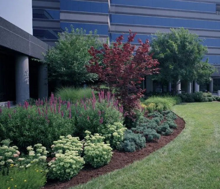 Expert lawn care service experts serving Schenectady, NY - DeLorenzo Landscaping