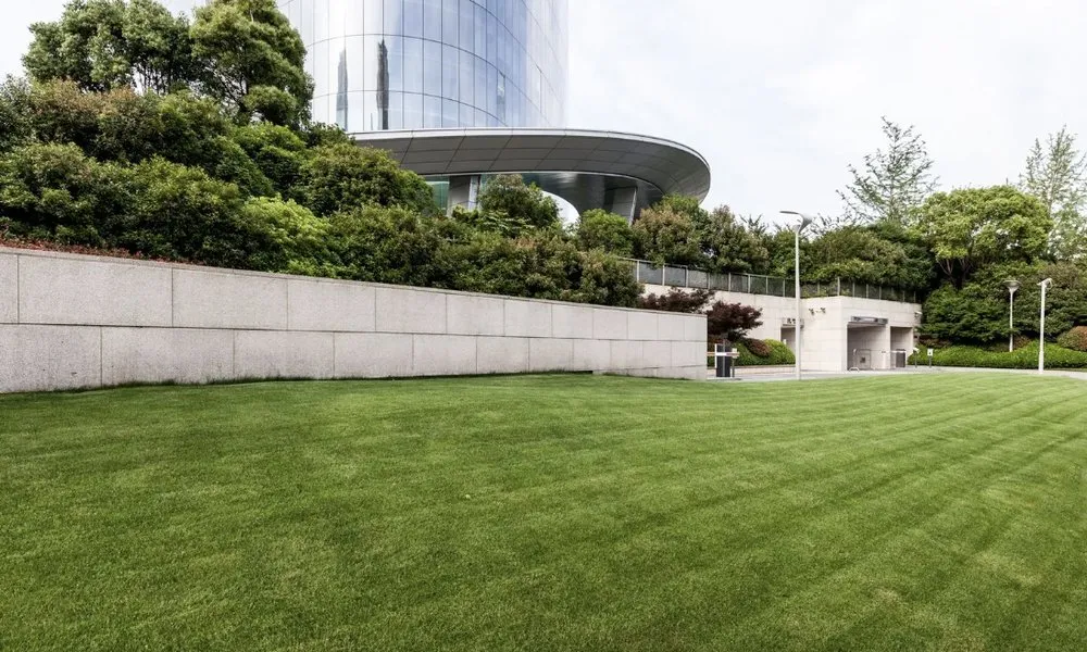 Reliable landscaping services experts serving Schenectady, NY - DeLorenzo Landscaping