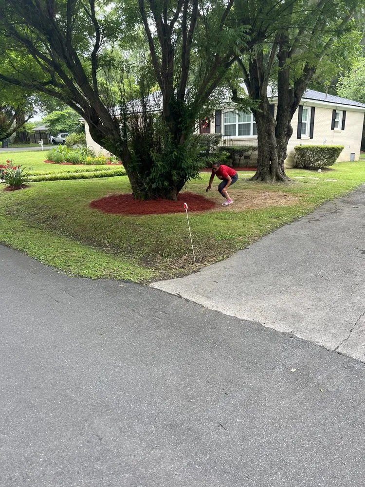 Expert landscape design for beautiful yards in Summerville, GA by Delrocco Landscaping