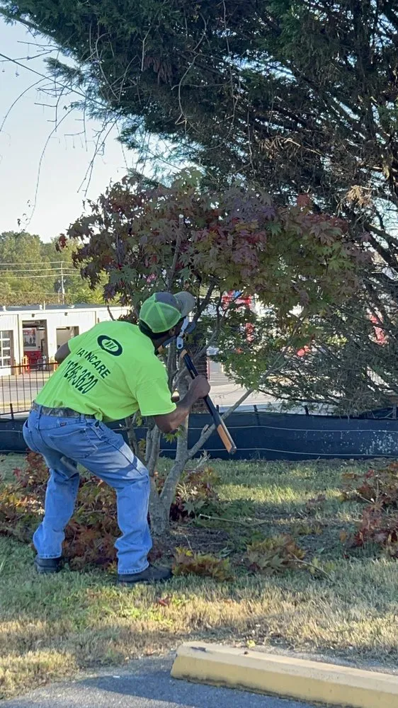 Professional landscape design for year-round maintenance in Summerville, GA by Delrocco Landscaping