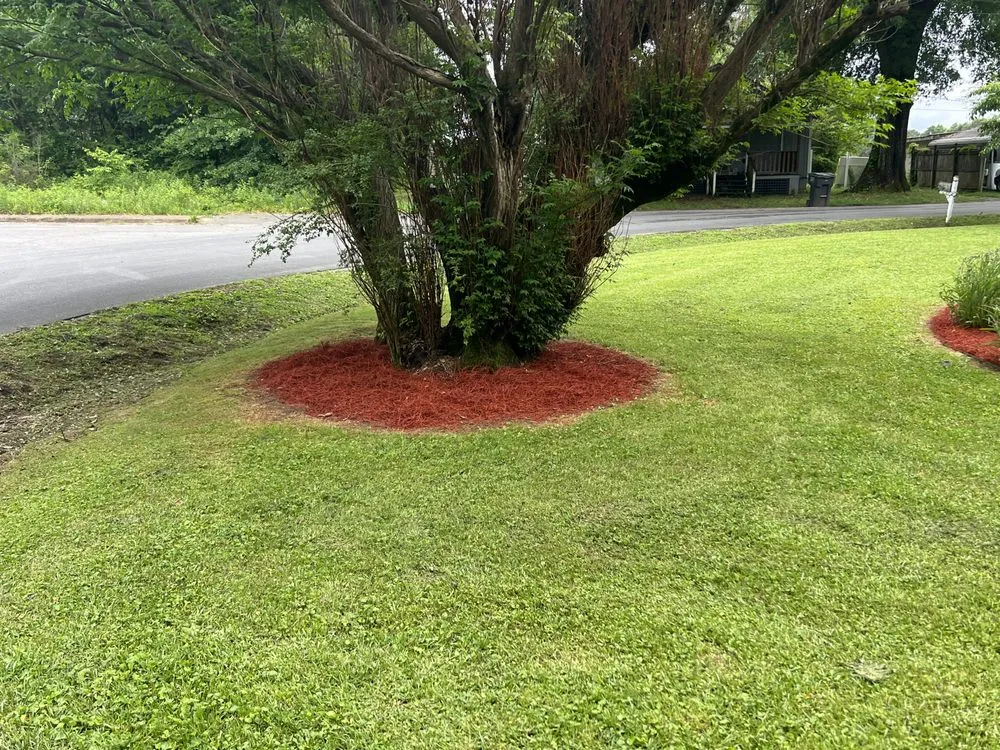 Top-rated lawn mowing service for outdoor upgrades across Summerville, GA - Delrocco Landscaping