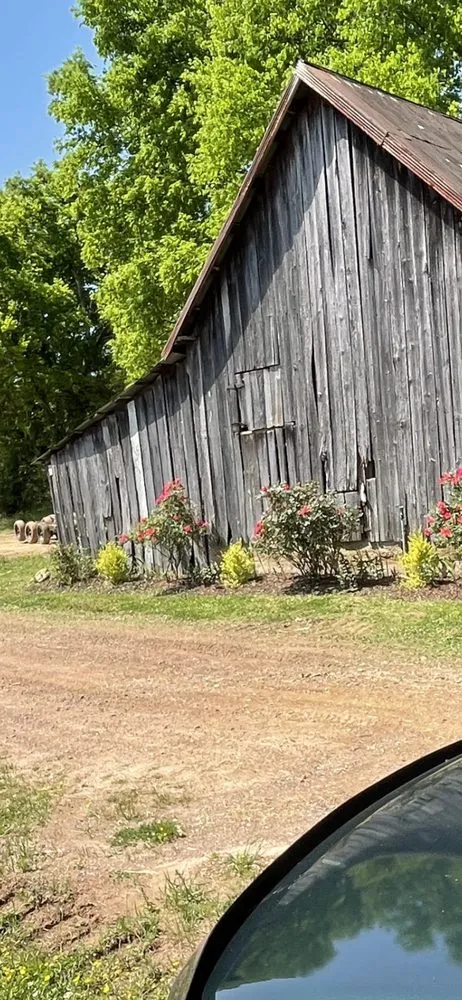 Custom yard cleanup service with custom design in Summerville, GA by Delrocco Landscaping