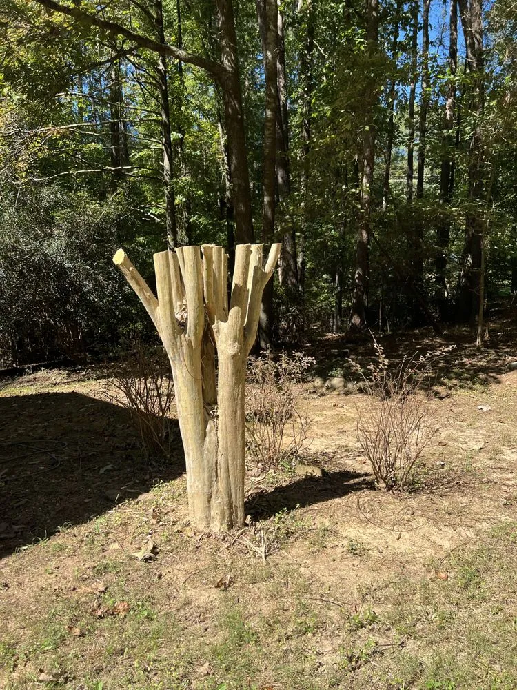 Reliable yard cleanup service in Summerville, GA - Delrocco Landscaping