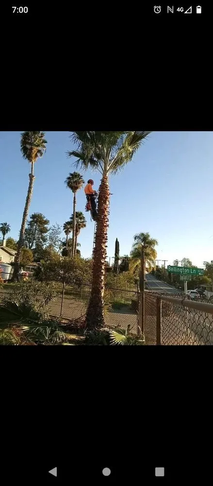 Professional outdoor landscaping in Fallbrook, CA - Del's