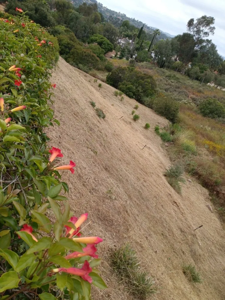 Top-rated outdoor landscaping in Fallbrook, CA by Del's