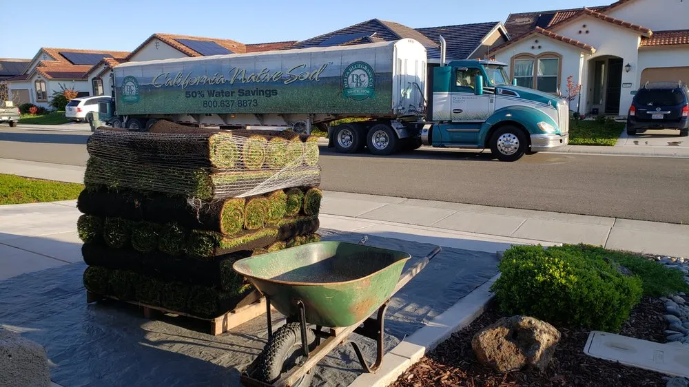 Trusted garden landscaping for residential properties in Stockton, CA by Delta Bluegrass Company