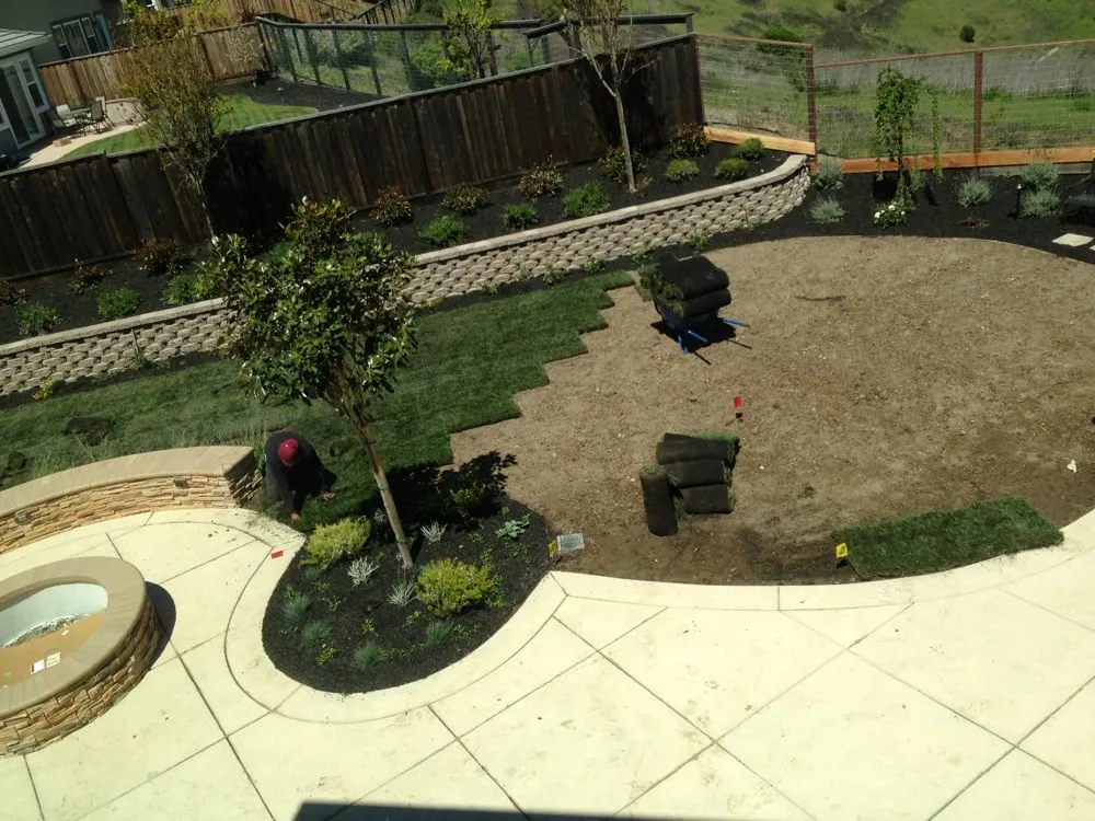 Trusted lawn care service for outdoor upgrades across Stockton, CA - Delta Bluegrass Company