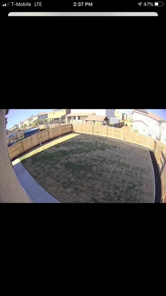 Professional yard cleanup service in Stockton, CA - Delta Bluegrass Company