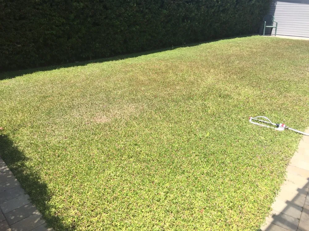 Expert landscape design experts serving Stockton, CA - Delta Bluegrass Company