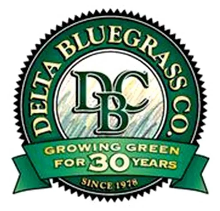 Professional outdoor landscaping near you in Stockton, CA by Delta Bluegrass Company
