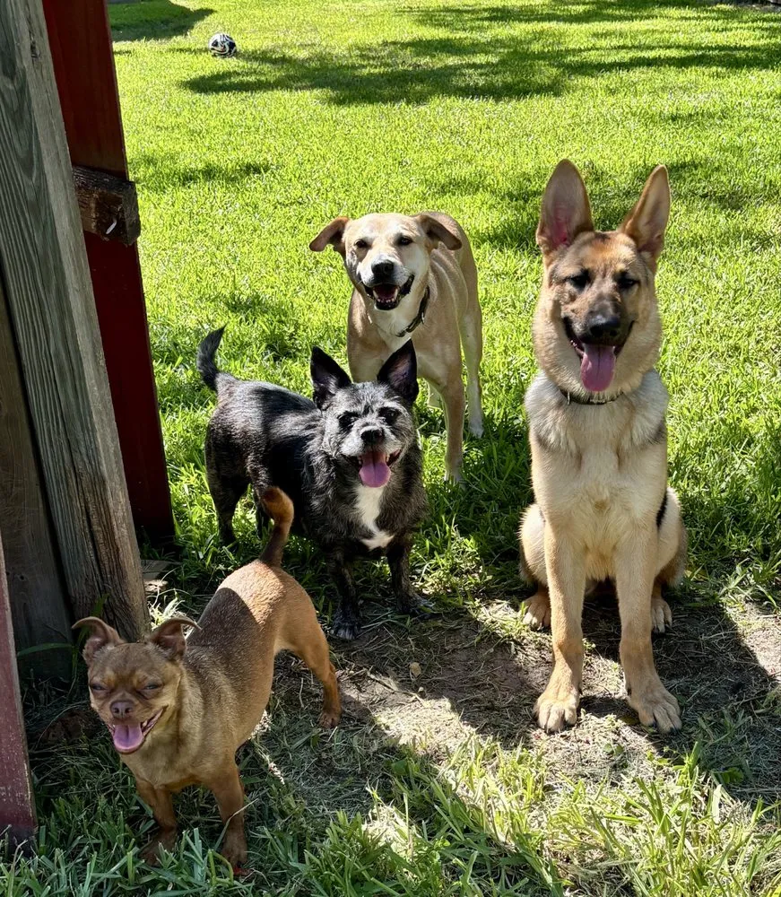 Expert lawn care service in Middleburg, FL by Delta Bravo Lawns