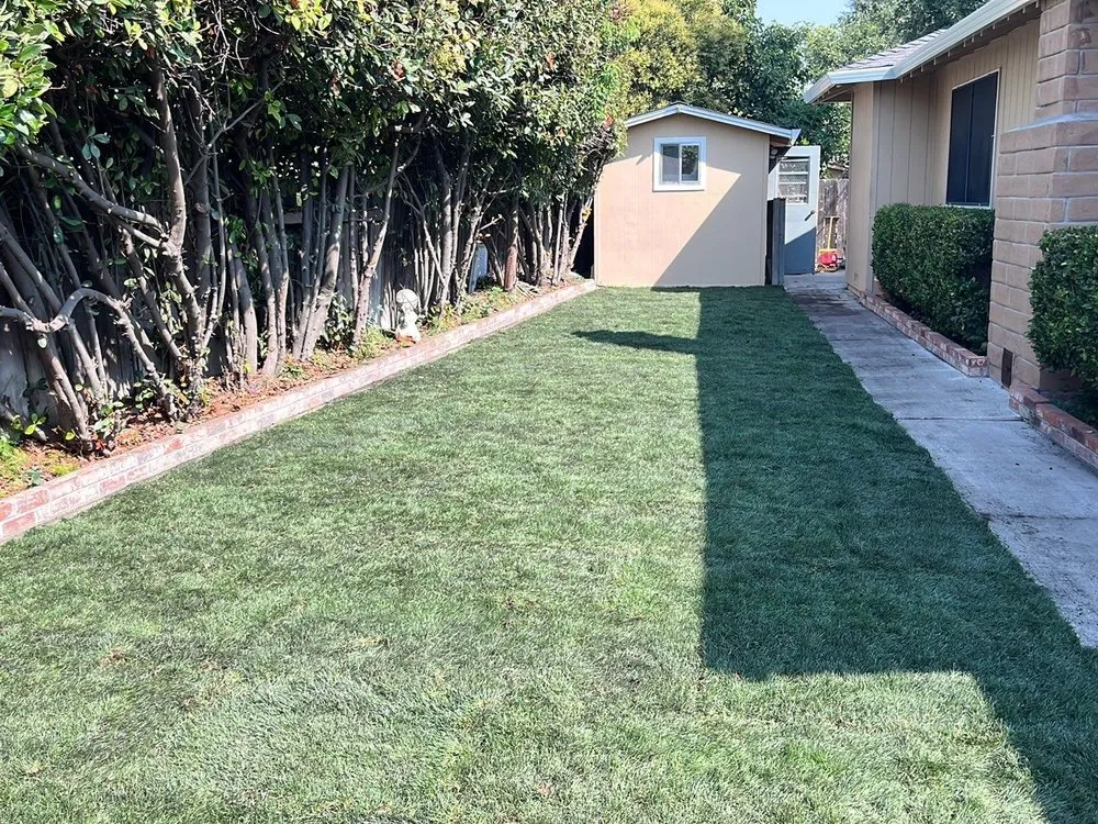 Professional landscaping services in Stockton, CA - Delta Charlie Sod