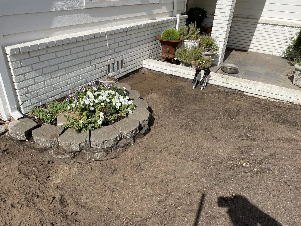 Professional outdoor landscaping in Stockton, CA - Delta Charlie Sod