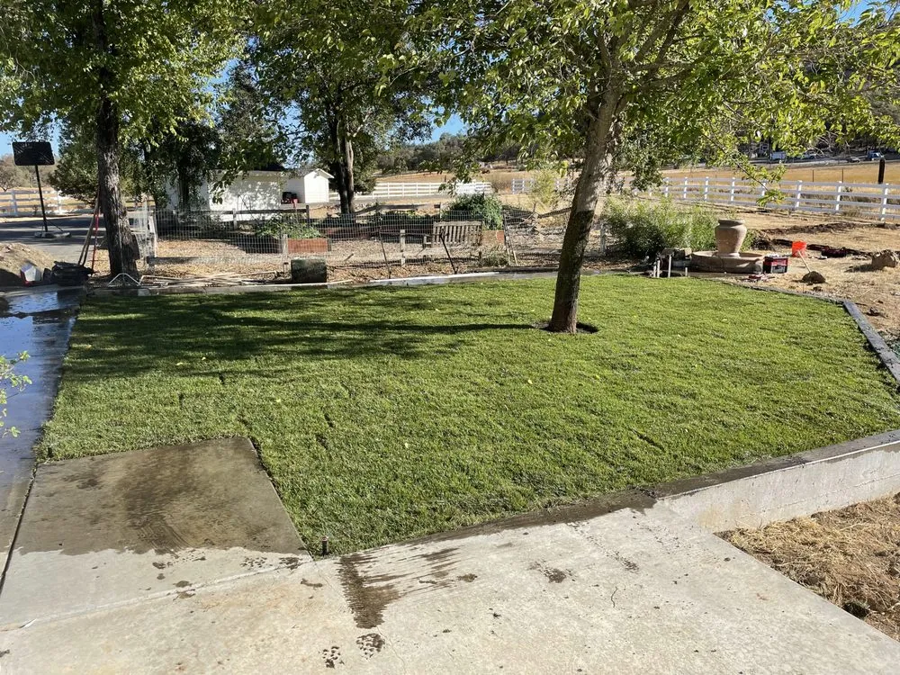Reliable garden landscaping experts serving Stockton, CA - Delta Charlie Sod