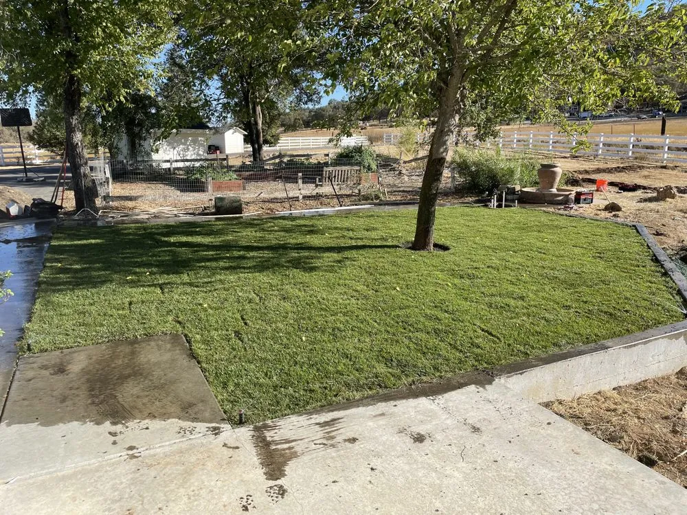 Custom outdoor landscaping in Stockton, CA - Delta Charlie Sod