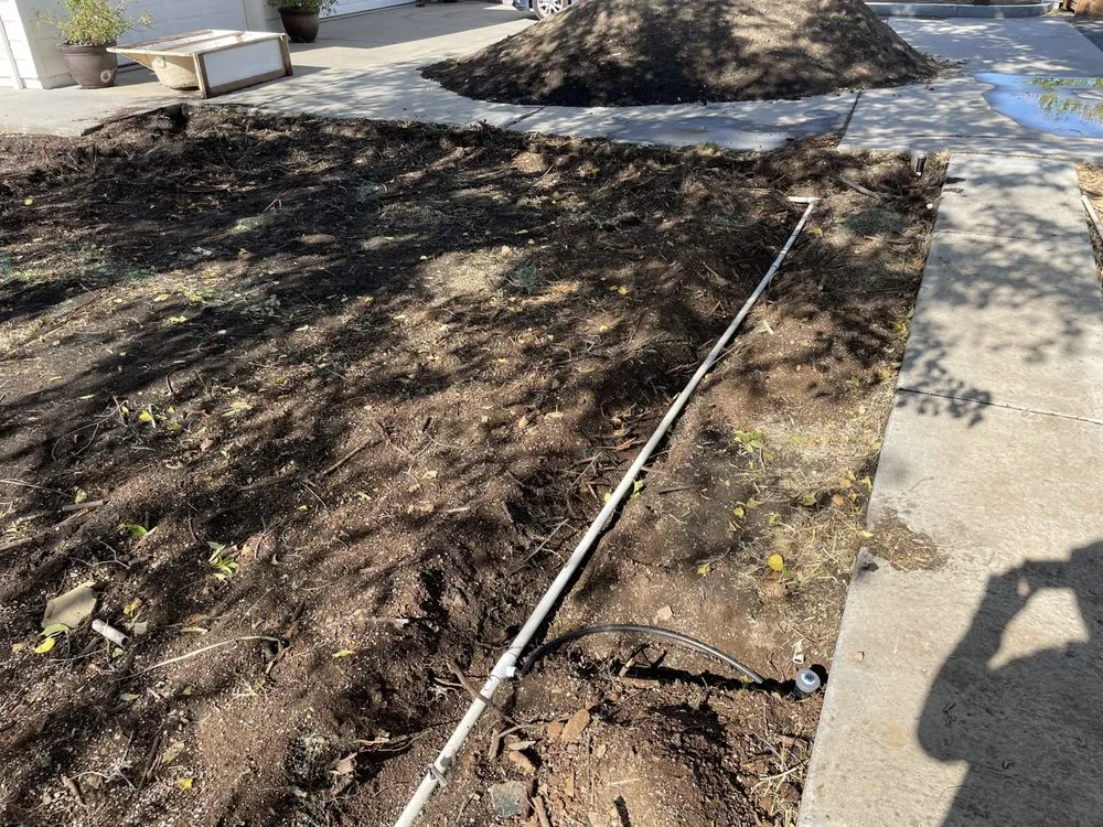 Professional yard maintenance in Stockton, CA - Delta Charlie Sod
