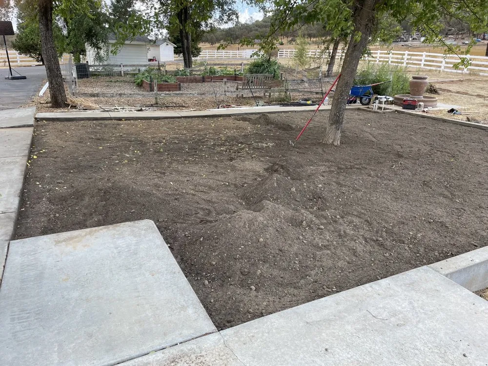 Trusted yard maintenance in Stockton, CA by Delta Charlie Sod