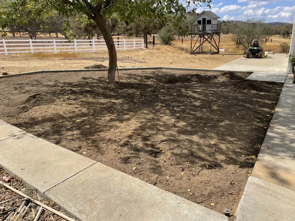 Reliable garden landscaping in Stockton, CA - Delta Charlie Sod