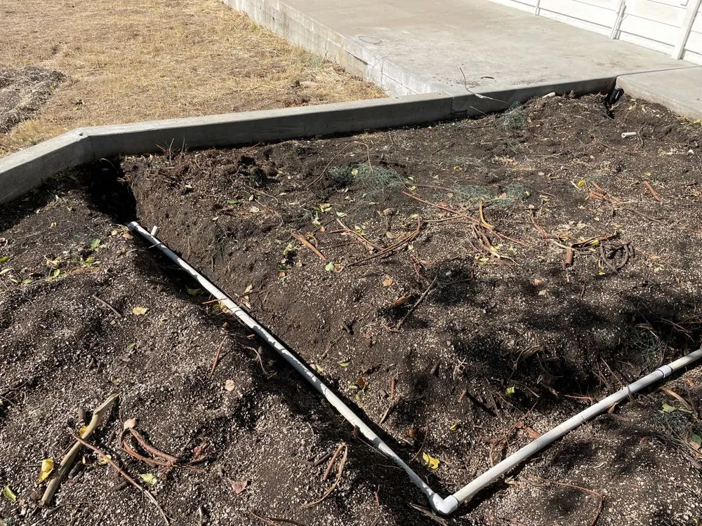 Custom yard maintenance in Stockton, CA - Delta Charlie Sod