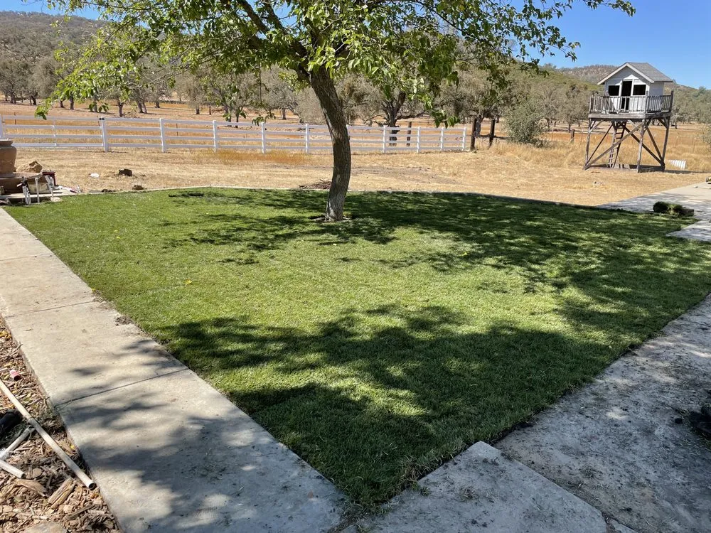 Custom yard maintenance for residential properties across Stockton, CA - Delta Charlie Sod