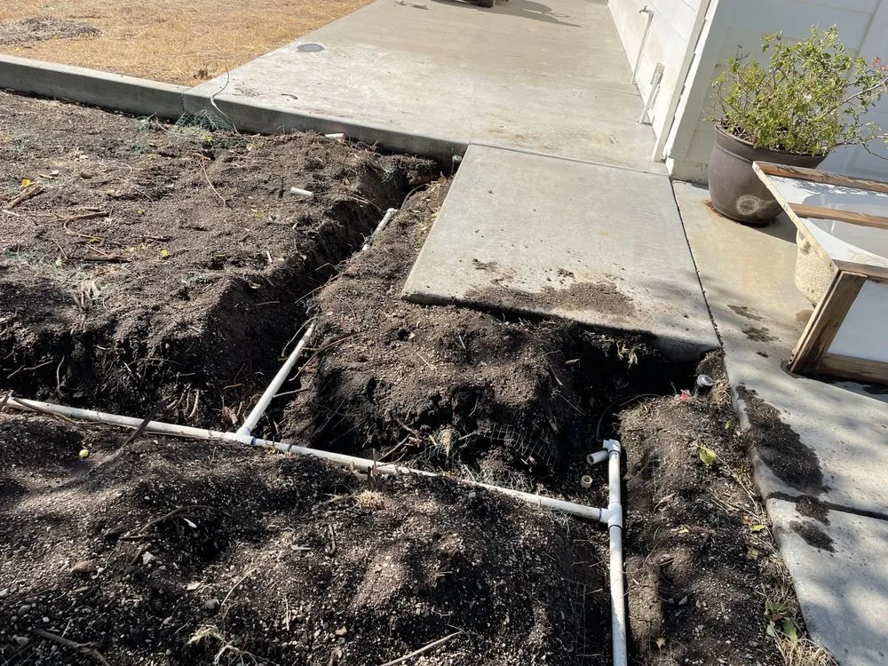 Local residential landscaping in Stockton, CA by Delta Charlie Sod