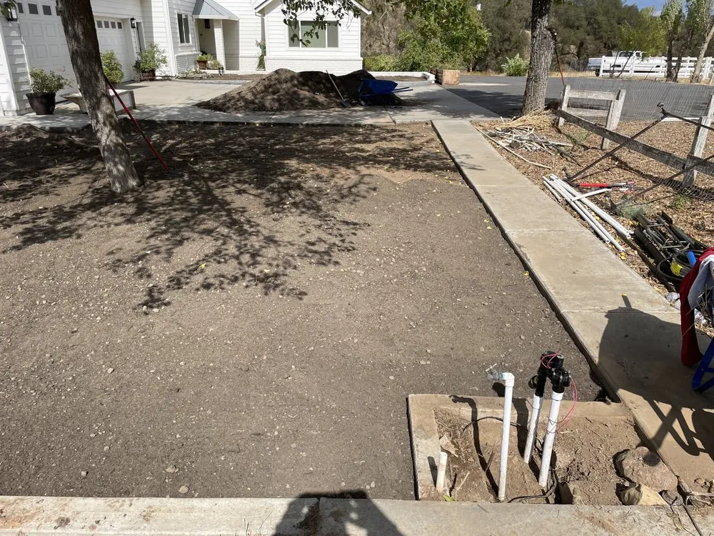 Top-rated outdoor landscaping experts serving Stockton, CA - Delta Charlie Sod