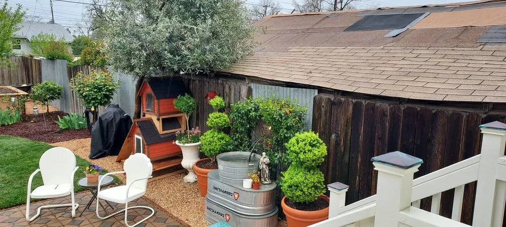 Professional landscaping services for beautiful yards across Elk Grove, CA - Delta Construction & Landscape Service