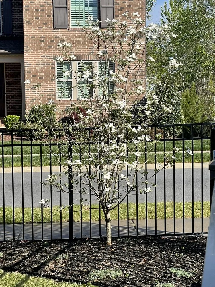 Expert outdoor landscaping in Mint Hill, NC - Delta Landscape Services