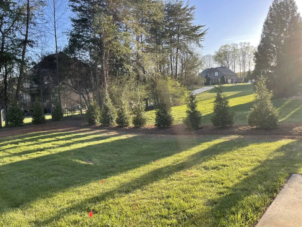 Professional residential landscaping for year-round maintenance in Mint Hill, NC by Delta Landscape Services