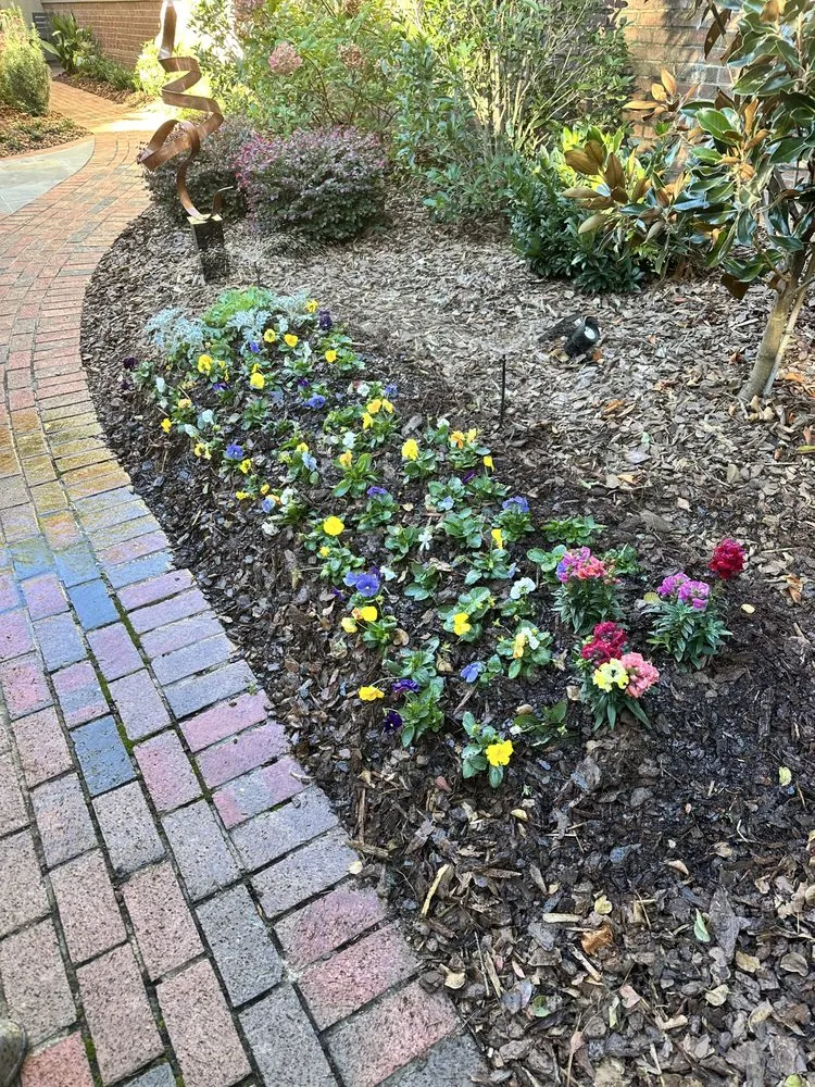 Top-rated lawn mowing service in Mint Hill, NC by Delta Landscape Services