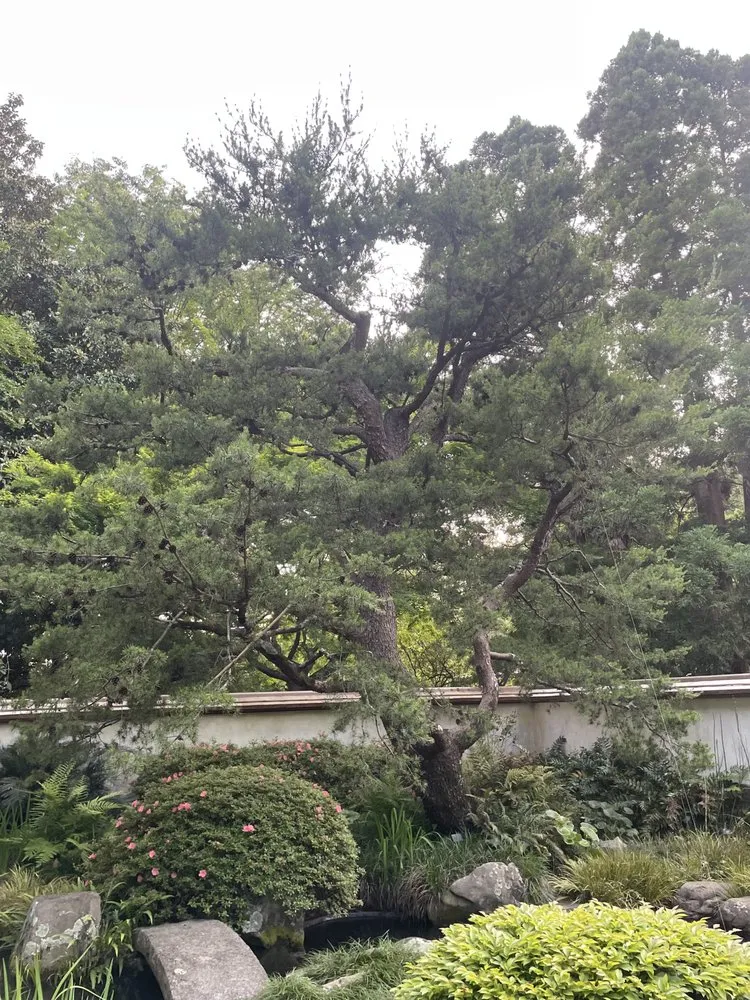 Reliable residential landscaping for homes across Mint Hill, NC - Delta Landscape Services