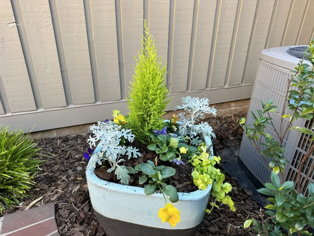 Custom yard maintenance for beautiful yards in Mint Hill, NC by Delta Landscape Services