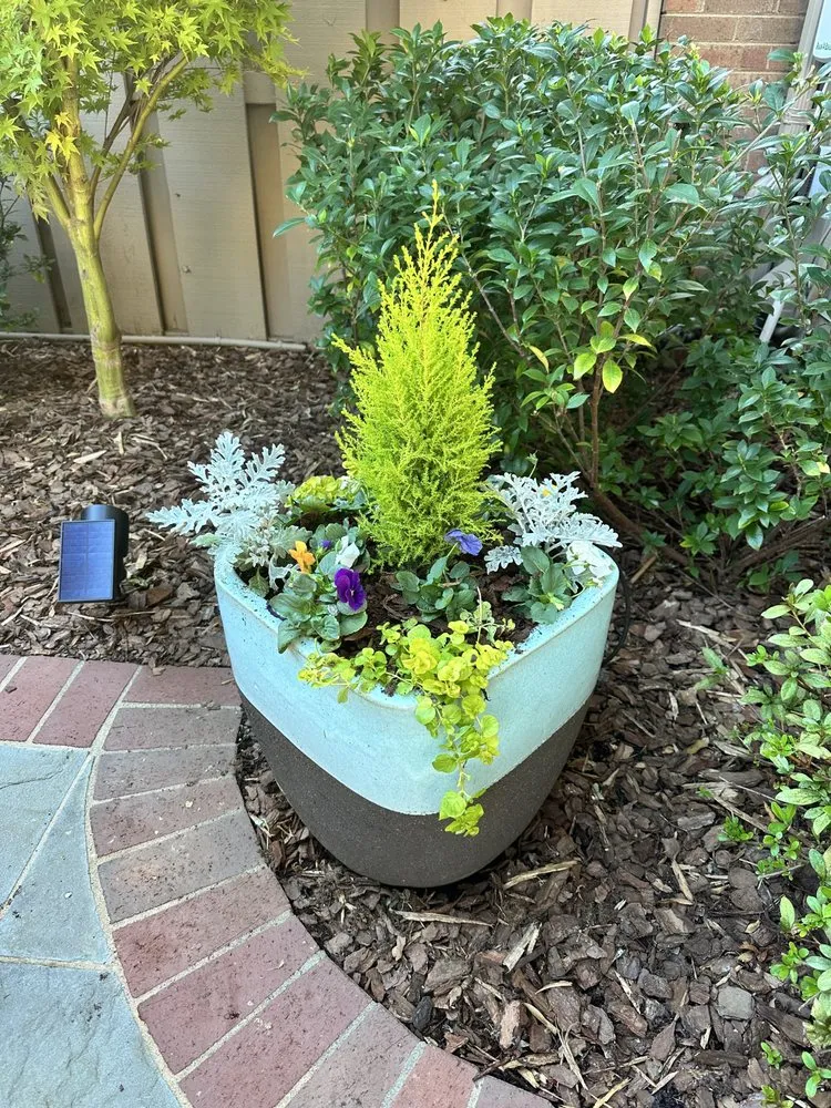 Expert yard maintenance in Mint Hill, NC by Delta Landscape Services