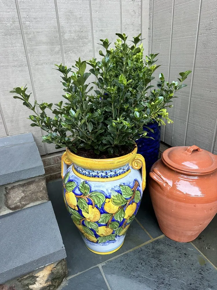 Reliable lawn mowing service experts serving Mint Hill, NC - Delta Landscape Services