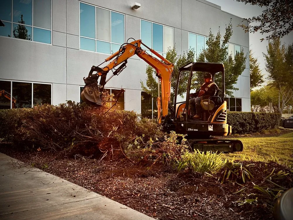 Top-rated lawn mowing service experts serving Rancho Cordova, CA - Delta Landscape Services