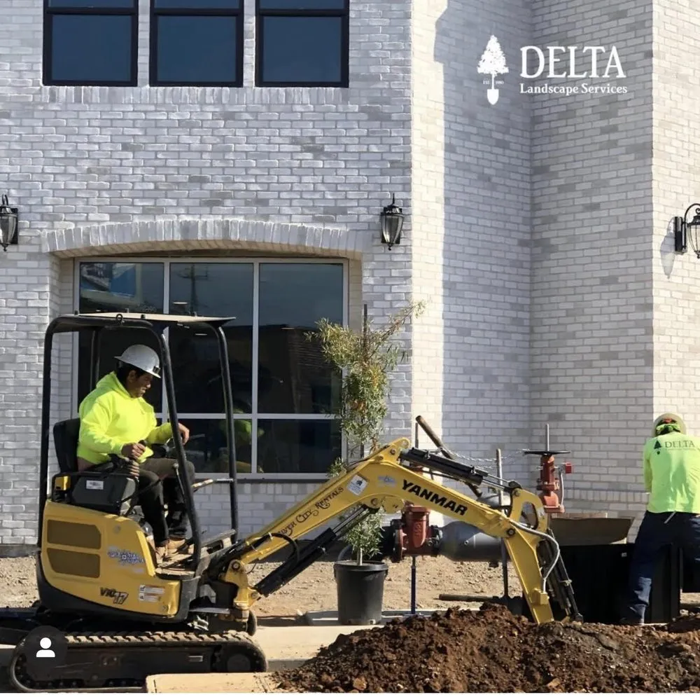 Local residential landscaping in Rancho Cordova, CA - Delta Landscape Services