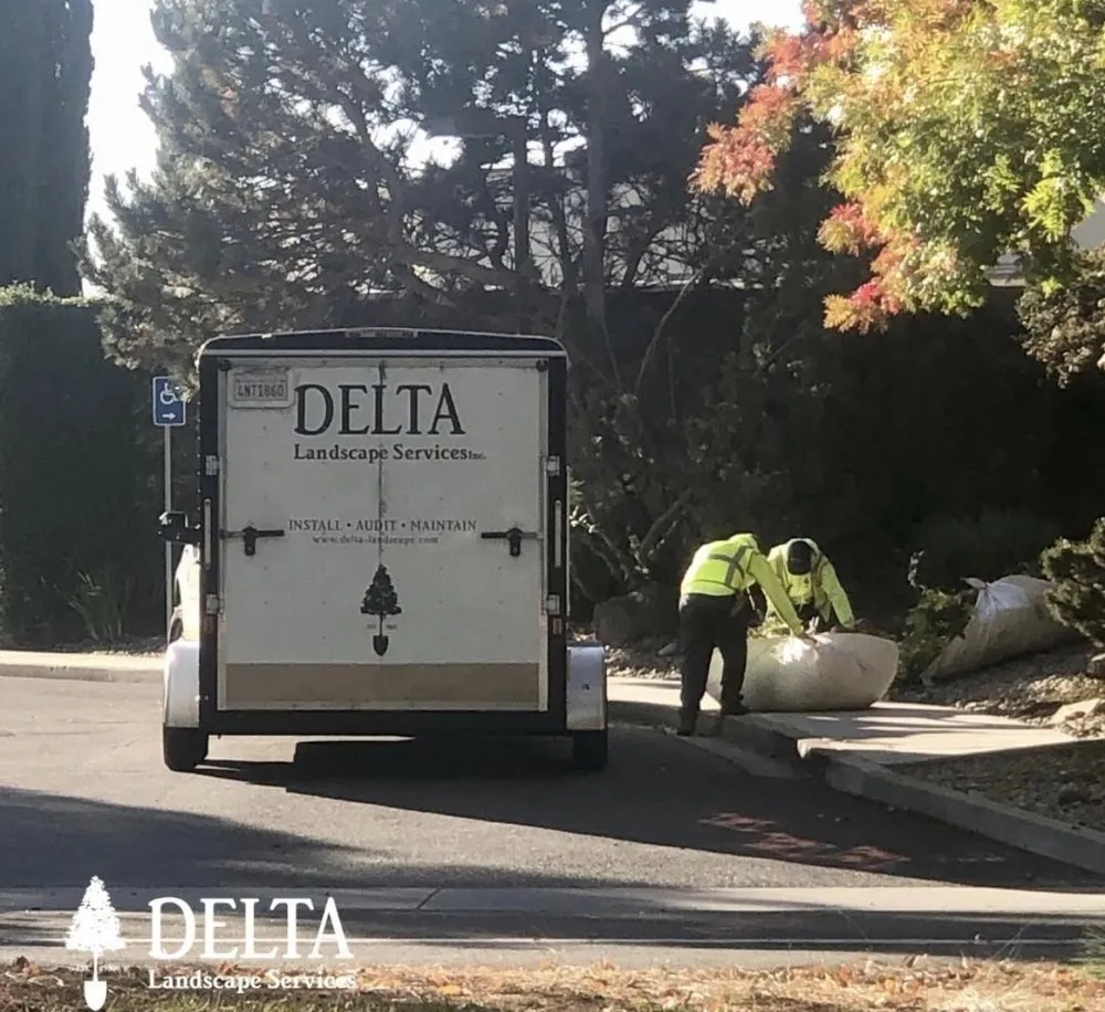 Top-rated landscaping services experts serving Rancho Cordova, CA - Delta Landscape Services