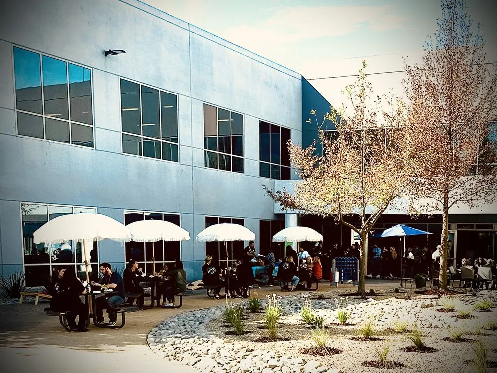 Professional outdoor landscaping in Rancho Cordova, CA - Delta Landscape Services