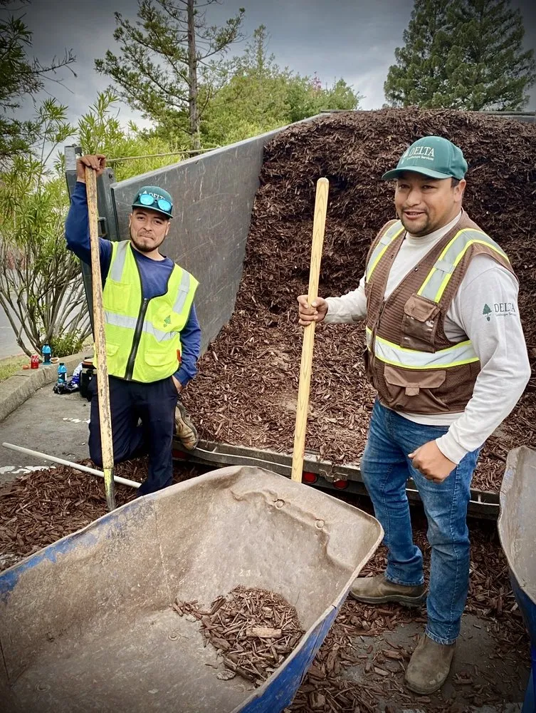 Expert landscape installation in Rancho Cordova, CA - Delta Landscape Services