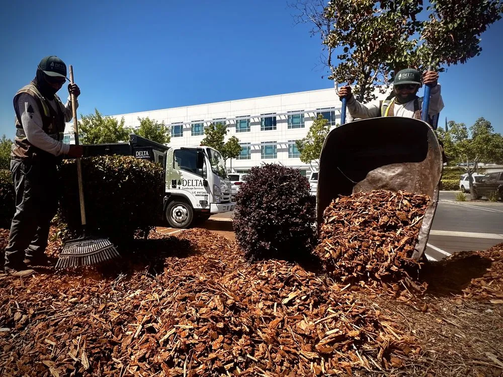 Top-rated landscape installation experts serving Rancho Cordova, CA - Delta Landscape Services