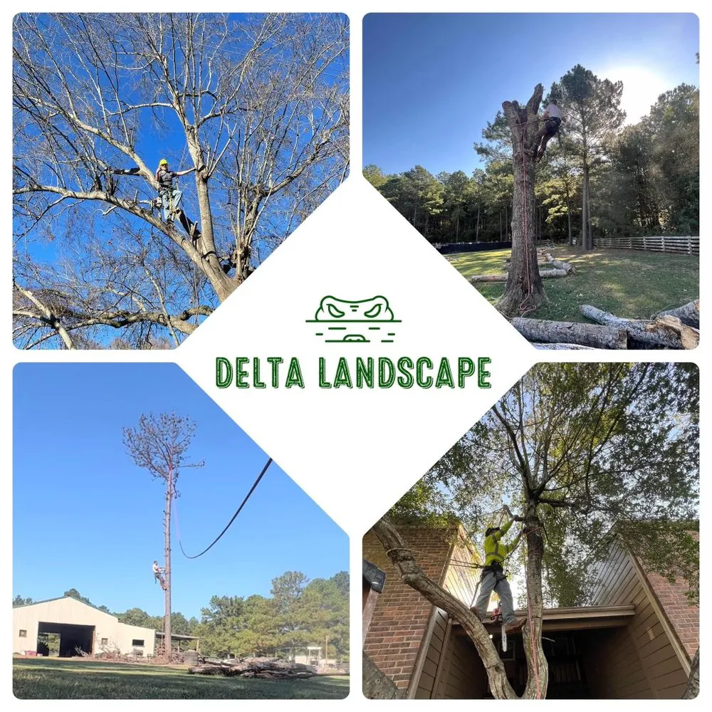 Trusted residential landscaping in Shreveport, LA - Delta Landscape