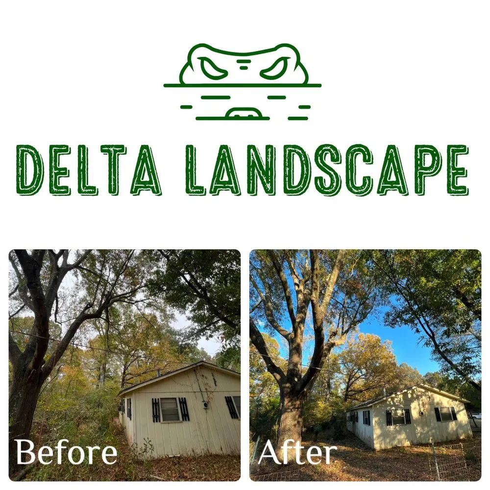 Top-rated landscape installation in Shreveport, LA - Delta Landscape